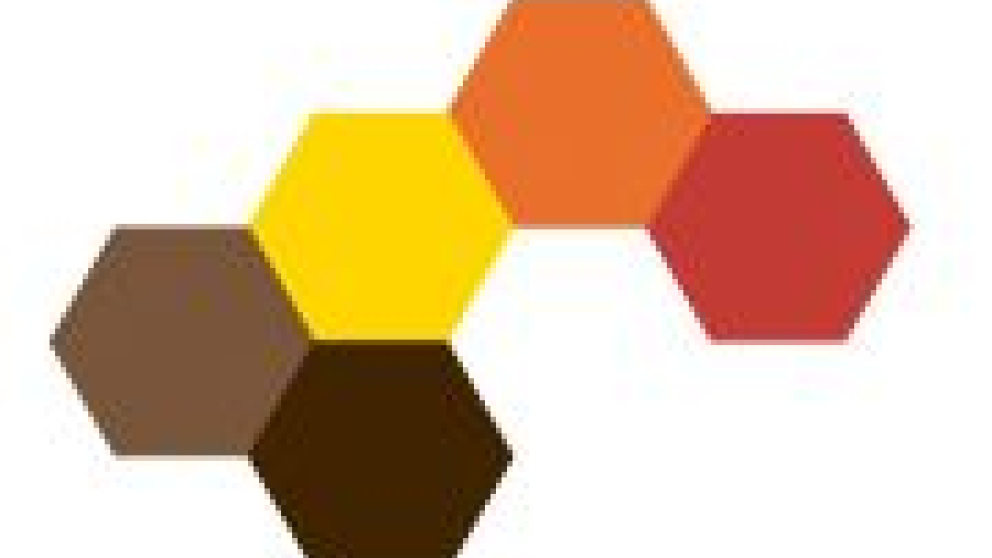 Re-integratie bij psychische aandoeningen