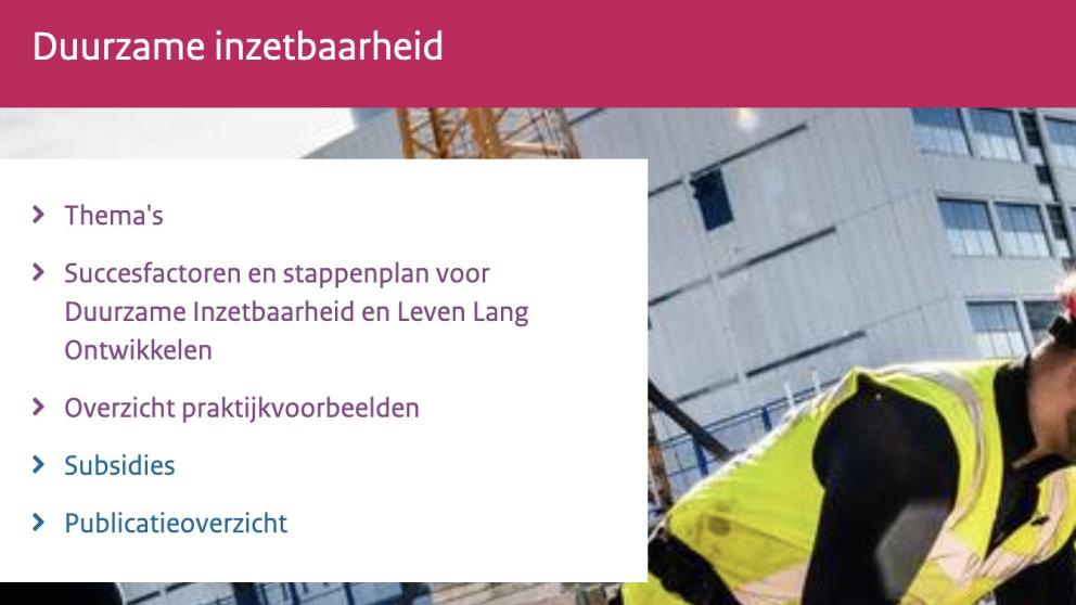 Duurzame inzetbaarheid: 300 praktijkvoorbeelden