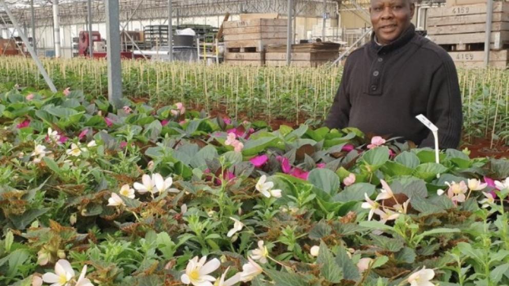 Every Day Heroes betaalt laatste stap naar werk