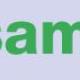 De SAM-professional als gezagsdrager