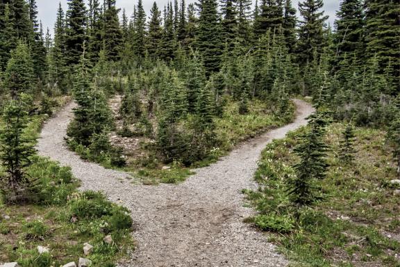 Hoe sociale professionals (opnieuw) vertrouwen kunnen opbouwen